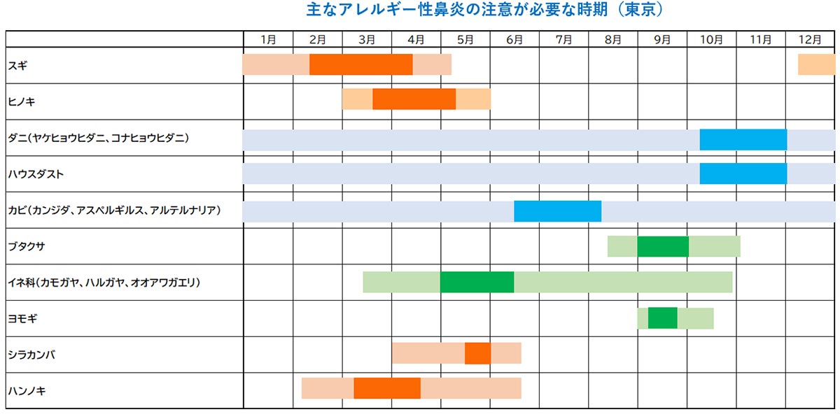 主なアレルギー性鼻炎の注意が必要な時期（東京）