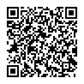 QR・39種類を一度に調べられるアレルギー検査